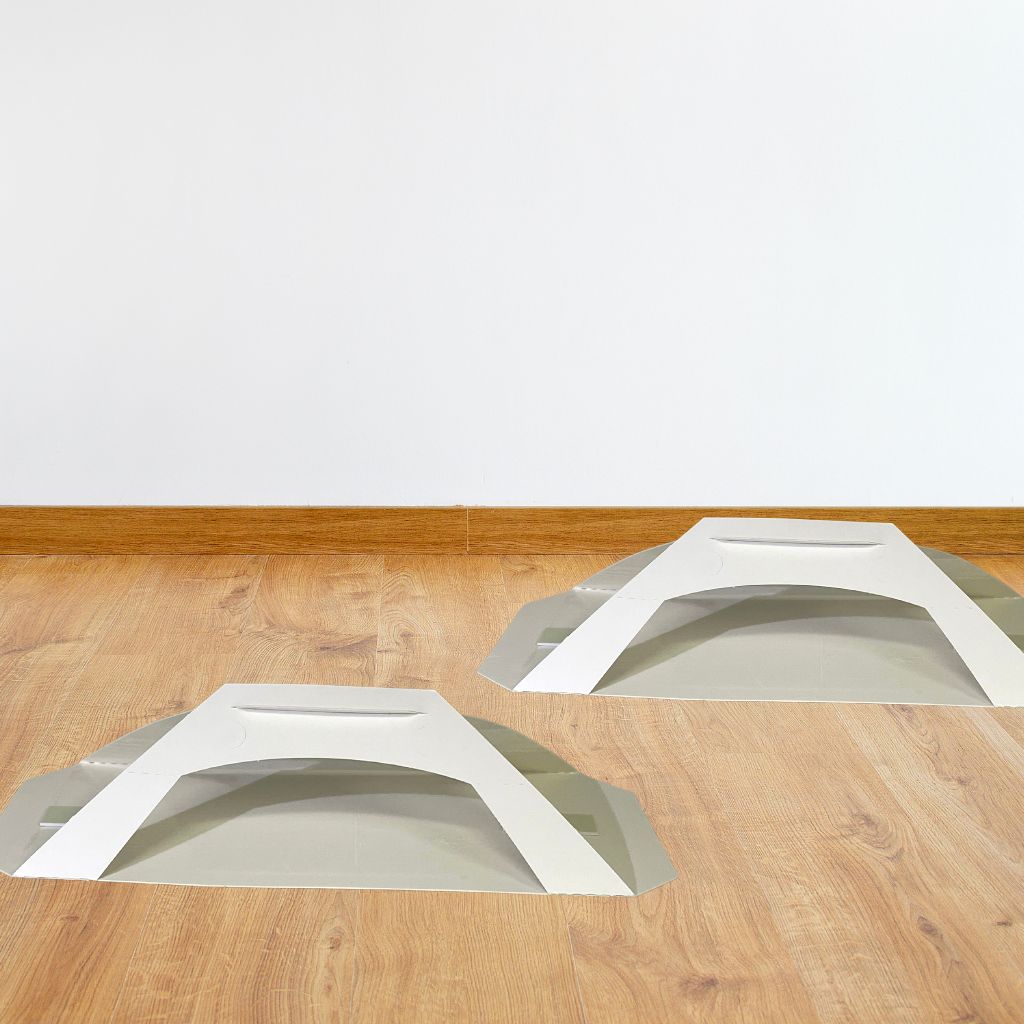 Common Furniture Woodworm Beetle Trap on floor