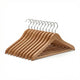 10 Pack (10 Hangers)