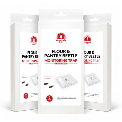 Flour & Pantry Beetle Monitoring Trap with Attractant