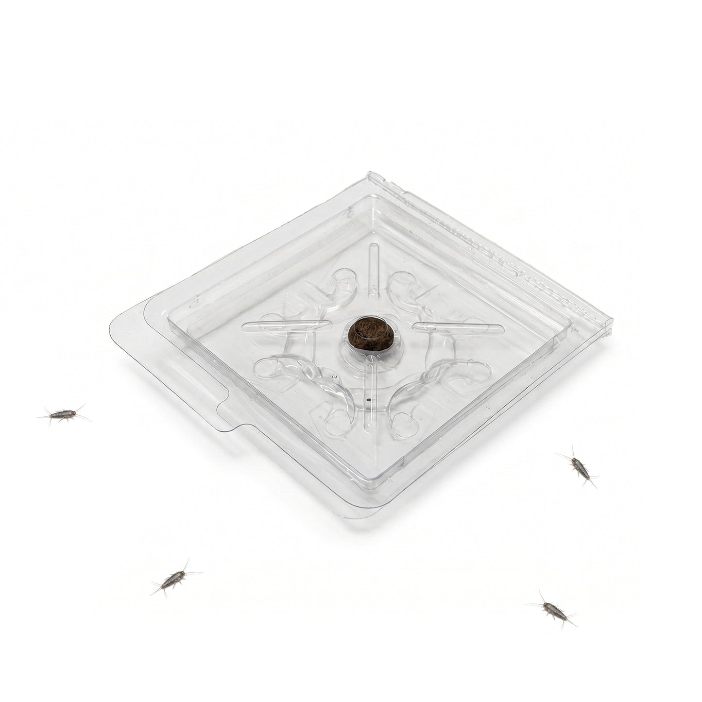 Silverfish & Firebrat Monitoring Trap