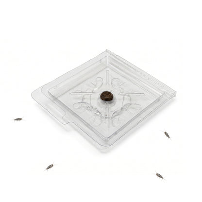 Silverfish & Firebrat Monitoring Trap