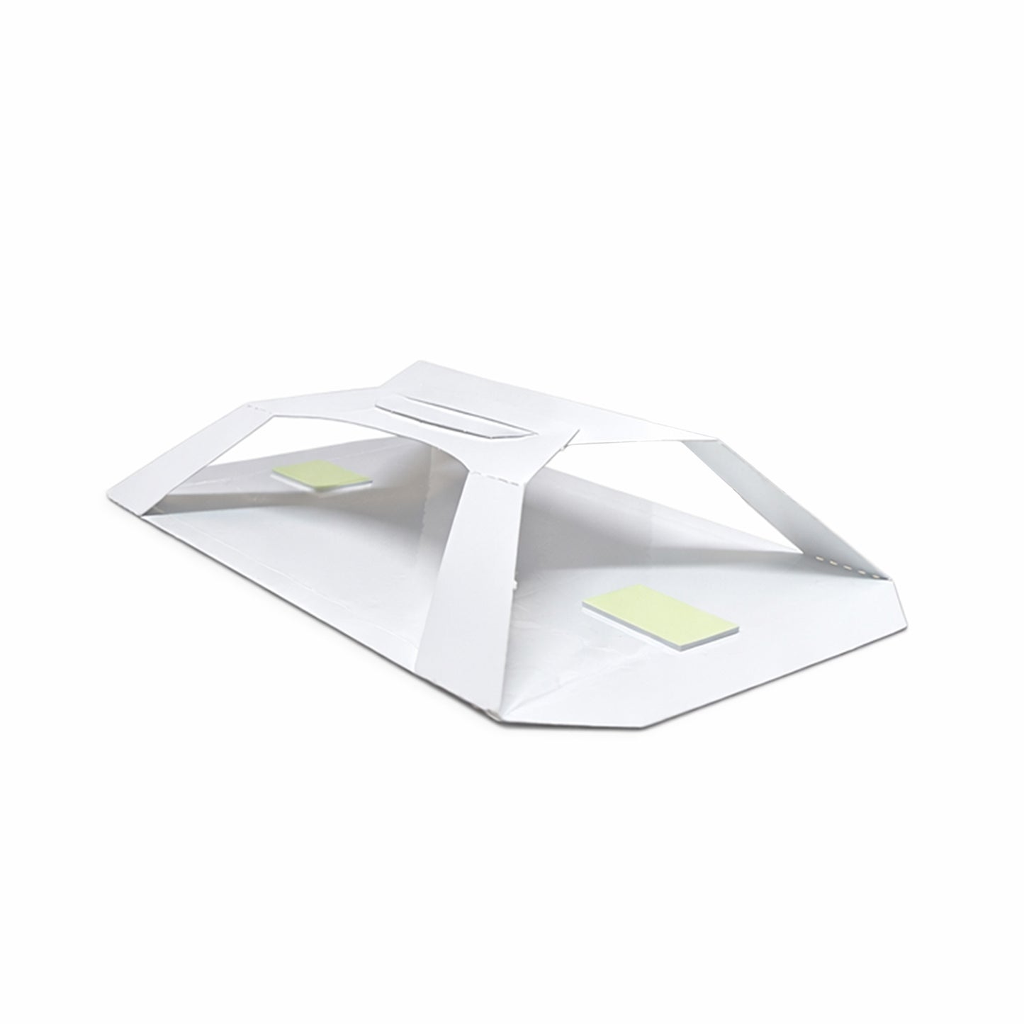 Non-toxic varied carpet beetle monitoring trap with light attractor