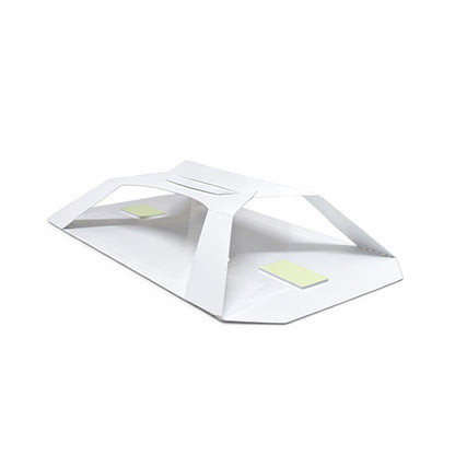 Non-toxic varied carpet beetle monitoring trap with light attractor