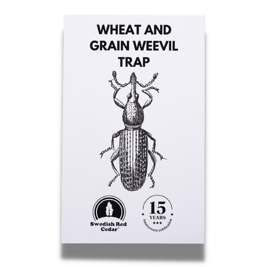 wheat and grain weevil trap - Sitophilus granarius