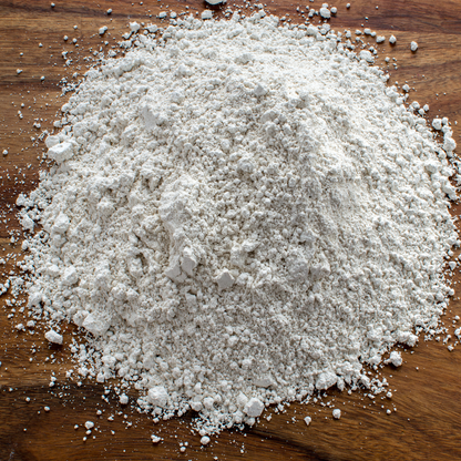 Diatomaceous Earth – Natural Mineral Powder for Crawling Insects