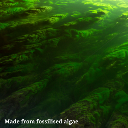 Diatomaceous Earth – Natural Mineral Powder for Crawling Insects